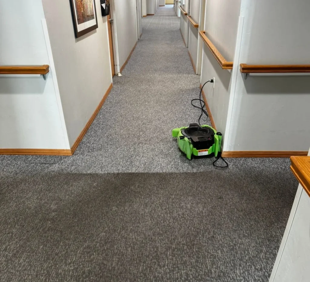 Commercial carpet cleaning in a high-traffic hallway by Crest Cleaning Services in Seattle, WA