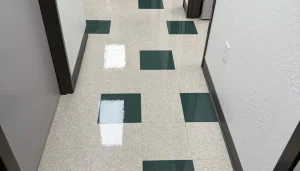 Commercial Cleaning Frequency Options: Finding the Right Rhythm for Offices and Properties
